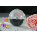 wholesale hanging glass ball vase for home decoration